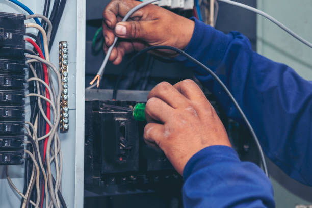 Best Local Electrician Companies  in Roland, IA